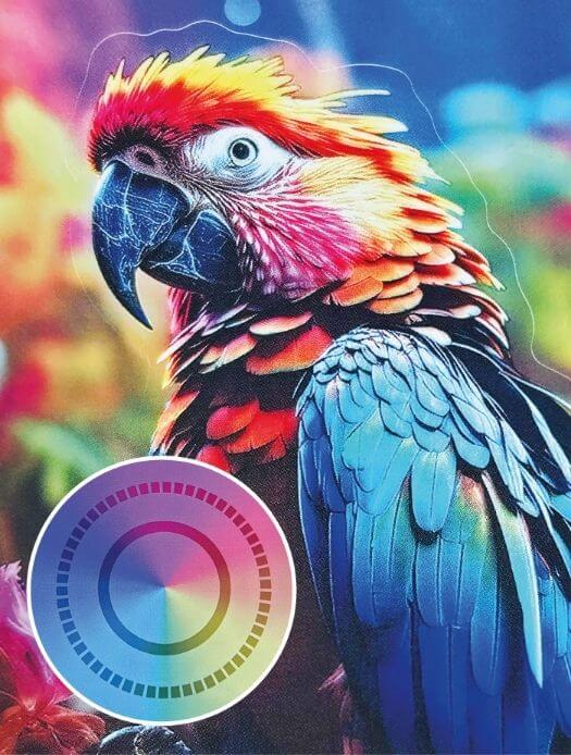Film-PP-Transparent-50-PET