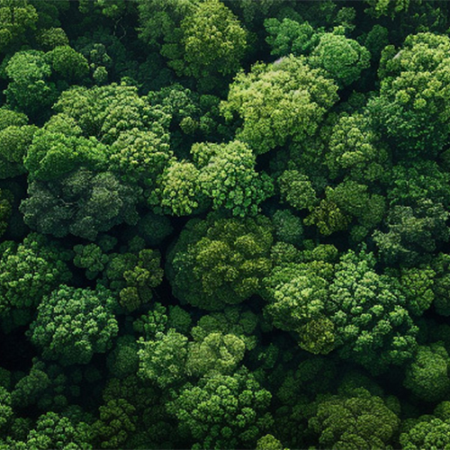 Nouveaux supports écologiques pour les étiquettes